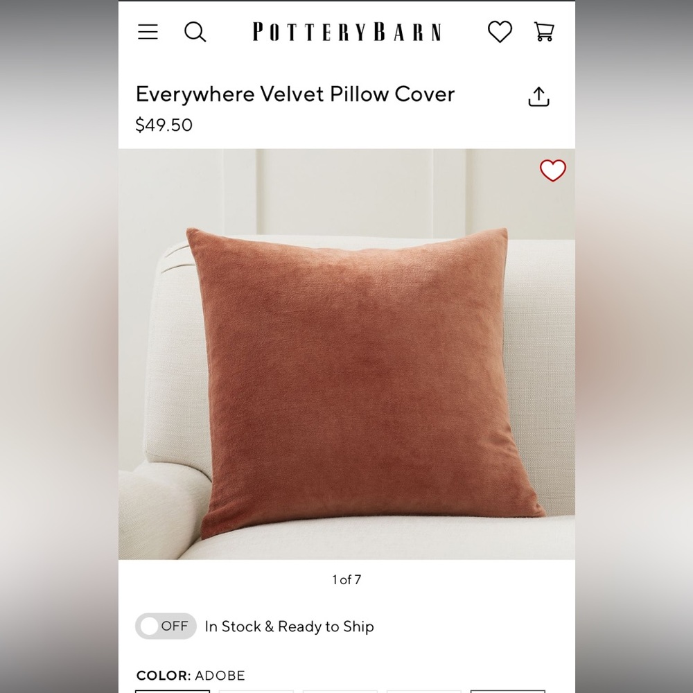 Pottery Barn Everywhere Velvet Pillow